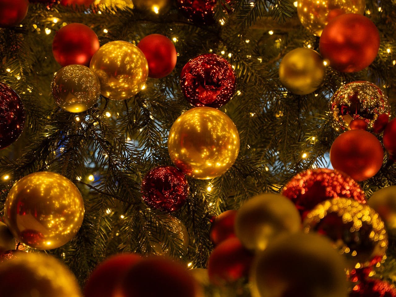 Qué Ver en Pontevedra Navidad